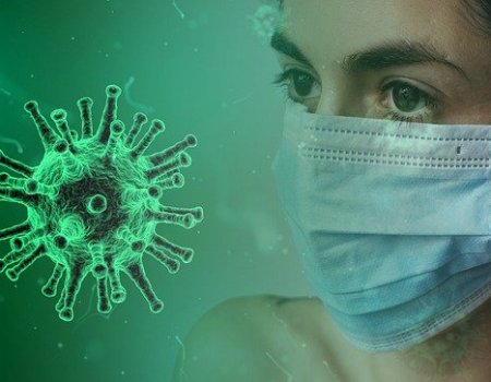 Коронавирусом в Башкортостане с начала эпидемии заболели более 28 тысяч человек