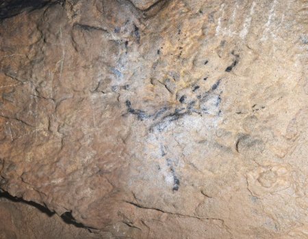 В пещере Шульган-Таш найдены новые рисунки животных и личины