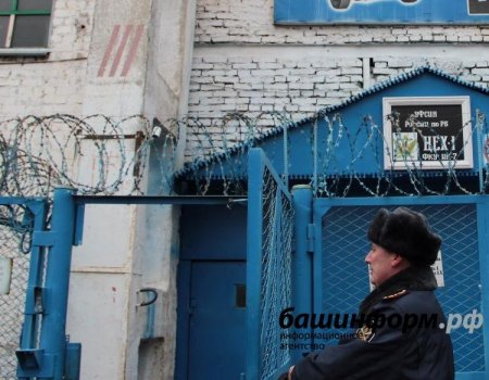 Путин подписал закон о блокировке сотовой связи в тюрьмах