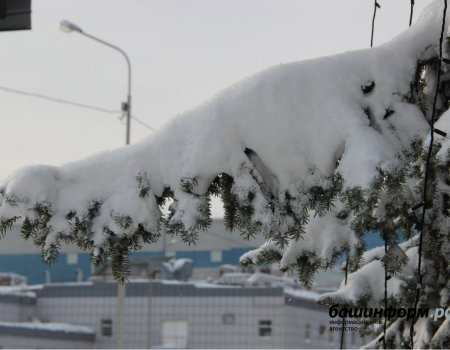 Метель и сильный ветер: МЧС Башкортостана предупреждает о неблагоприятной погоде