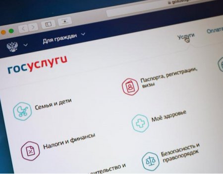В Башкортостане в 4 раза выросло число обращений по земельным вопросам через интернет