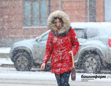 МЧС Башкортостана предупреждает о мокром снеге, гололеде и сильном ветре