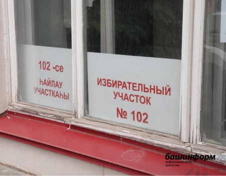 Обучение 7 тысяч будущих наблюдателей за выборами в Башкортостане начнется 5 апреля