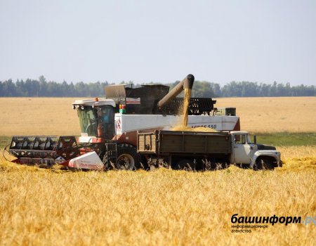 Башкирия вошла в Топ-10 регионов страны по производству сельскохозяйственной продукции