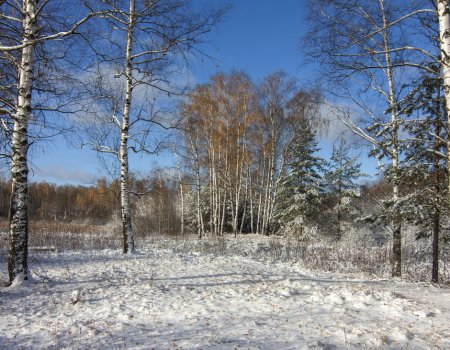 В Башкортостане первая декада апреля будет теплее обычного на два градуса