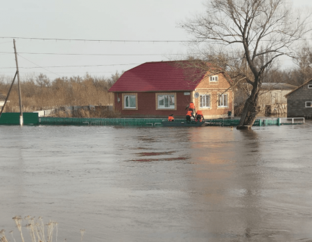 Под водой: из-за подъема уровня рек подтоплены несколько населенных пунктов Башкортостана
