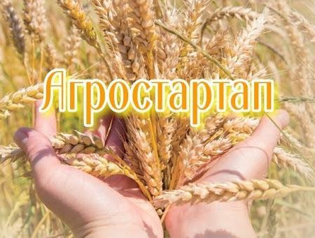 В Башкортостане гранты «Агростартап» смогут получить личные хозяйства и ИП
