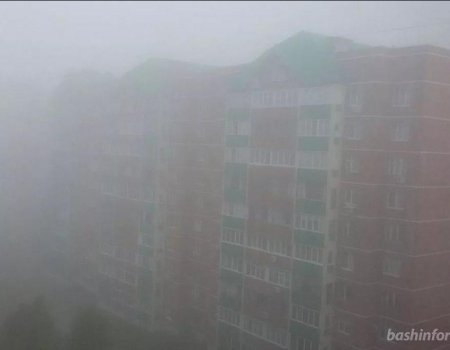Сильный туман и аномальная жара: МЧС Башкортостана предупреждает об опасных погодных явлениях