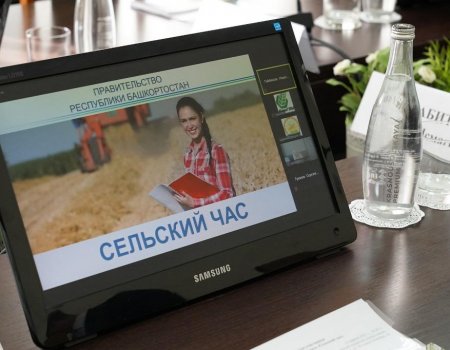 В Башкортостане могут создать Единый центр карьеры для выпускников аграрного вуза и колледжей