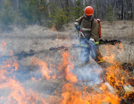 Первые лесные пожары зафиксированы на территории Башкортостана