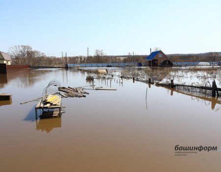 «Дом свой спасаю!»: как жители Башкортостана пережили начало паводка-2021