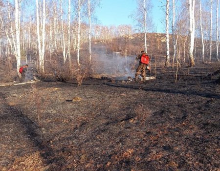 Радий Хабиров: Вводим в Башкортостане особый противопожарный режим