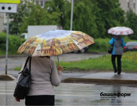 МЧС Башкортостана предупреждает жителей республики о сильном ветре