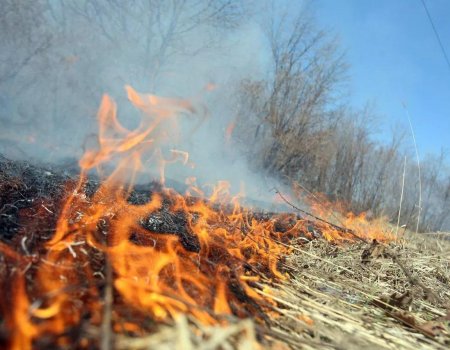 В Башкортостане из-за возгорания сухой травы за сутки произошло 17 пожаров