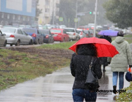 В Башкортостане ожидаются дожди со снегом и сильный ветер