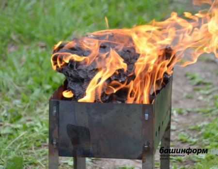 В МЧС рассказали, как приготовить шашлык на природе и не устроить при этом пожар