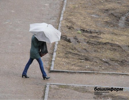 МЧС предупреждает жителей Башкортостана о сильном ветре и заморозках