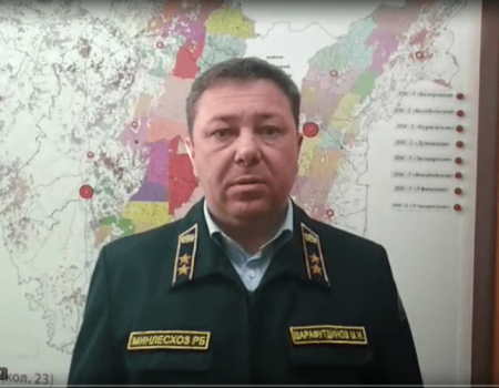 Министр лесного хозяйства Башкортостана обратился к жителям республики