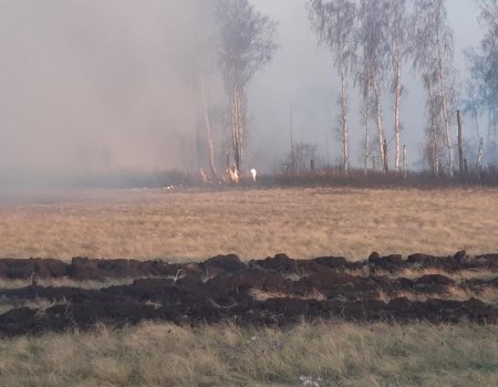 В Башкортостане за минувшие сутки зарегистрировано восемь лесных пожаров