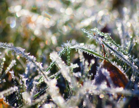 Внимание! МЧС по Башкортостану предупреждает о заморозках в воздухе и на почве