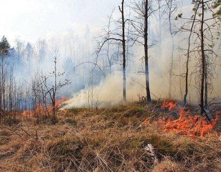 В трех районах Башкортостана прогнозируются 2, 3 и 4 классы пожароопасност