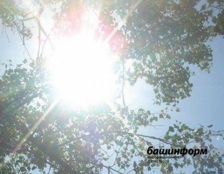 Жителей Башкортостана предупредили об опасном солнце