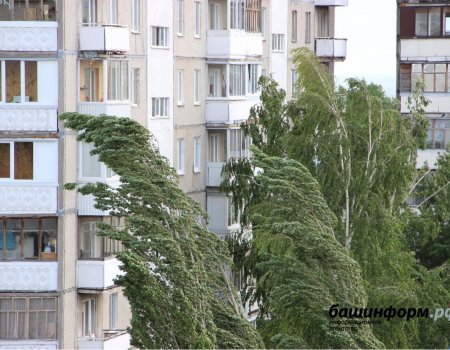 МЧС Башкортостана предупреждает о сильном ветре и чрезвычайной пожароопасности