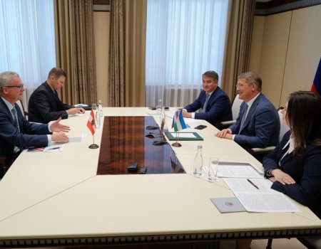 Глава Башкортостана встретился с Чрезвычайным и Полномочным Послом Австрии в России