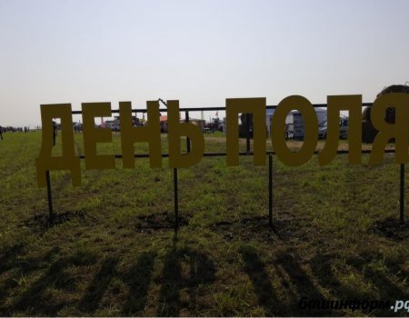 В пяти районах Башкортостана пройдут Дни поля