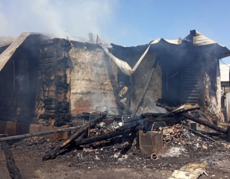 В Башкортостане при пожаре погибли мать с сыном