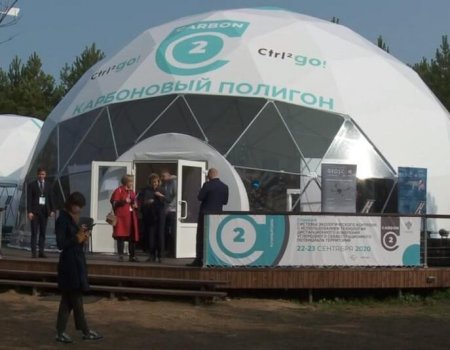 В Башкортостане могут появиться карбоновые полигоны для контроля за выбросом парниковых газов