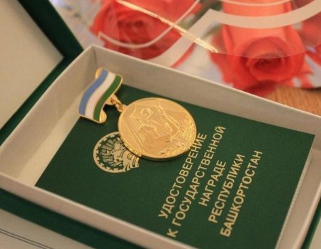 В Башкортостане вознаграждение к медали «Материнская слава» станет выше
