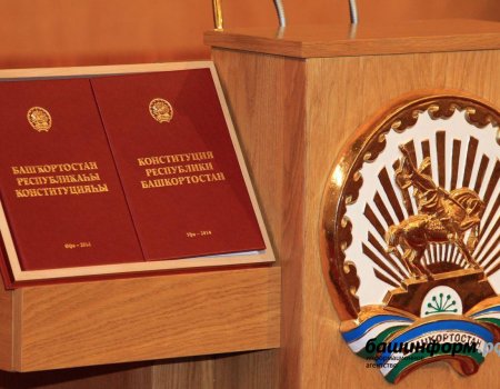 Ответственность за свое здоровье могут вписать в Конституцию Башкортостана