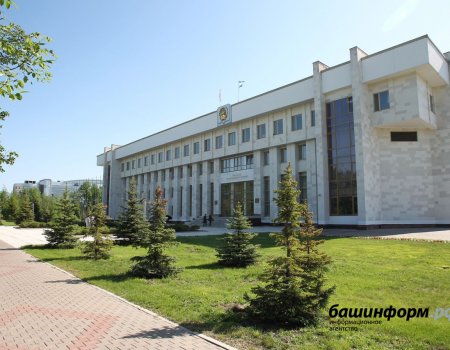 В Уфе хотят создать Центр по развитию языков народов Башкортостана