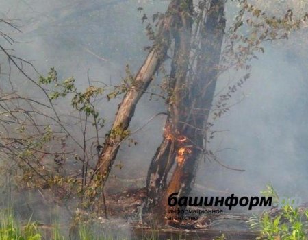 В Башкортостане сохраняется чрезвычайная пожароопасная ситуация - МЧС