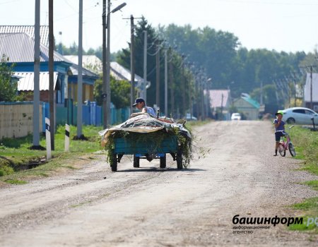 Для проведения сельхозпереписи в Башкортостане обучили 1700 человек