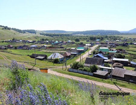 Для проведения сельхозпереписи в Башкортостане привлекут более 1,8 тысячи переписчиков