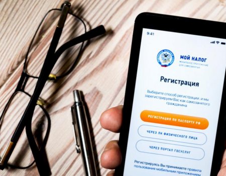 В Башкортостане за полгода самозанятыми зарегистрировались 22 тысячи человек