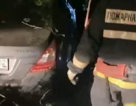 В Башкортостане автомобиль съехал в кювет и врезался в дерево: пассажир погиб