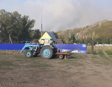 В Зауралье эвакуировали детский лагерь из-за степного пожара