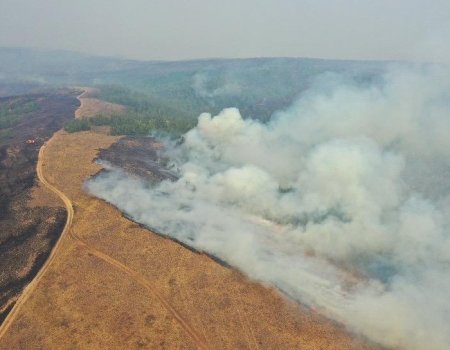 В МЧС назвали причины природных пожаров в Башкортостане: задержан предполагаемый поджигатель