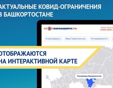 В Башкортостане заработала интерактивная карта ограничений по COVID-19
