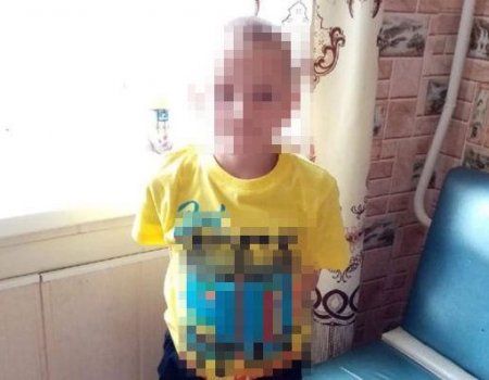 В Башкортостане скончался отравившийся грибами 7-летний мальчик - СК проводит проверку
