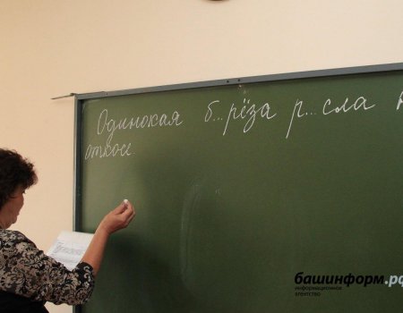 В Башкортостане программу «Земский учитель» продлили до 2023 года