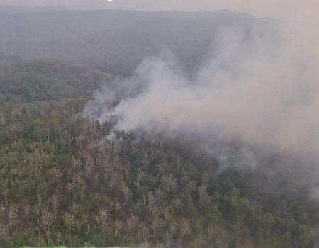 Вниманию туристов! В Белорецком районе Башкортостана действуют два лесных пожара