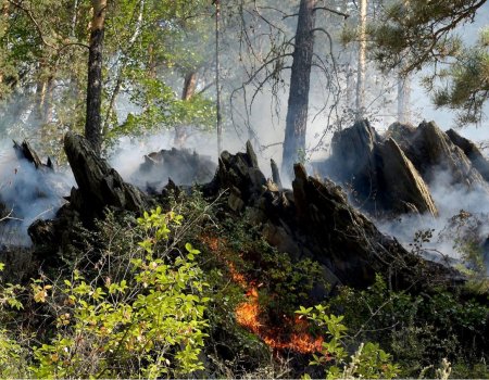 В южных районах Башкортостана ожидается чрезвычайная пожароопасность - МЧС