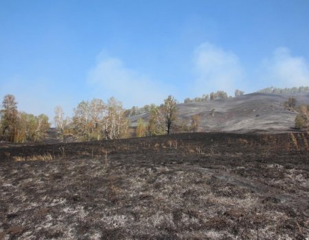 На границе трех районов Башкортостана горит лес, прибыли еще 44 волонтера