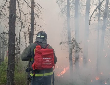 В Башкортостане природные пожары тушат более 900 человек, действуют 20 очагов площадью 3850 га
