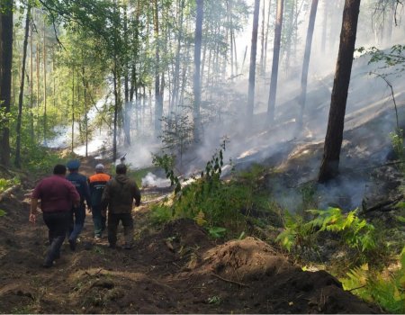 В Башкортостане ликвидировали 10 очагов природных пожаров