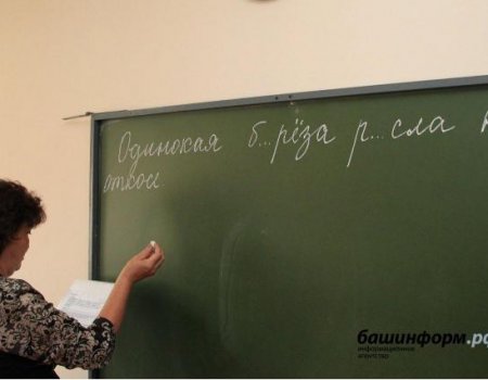 В школах Башкортостана наблюдается серьезный дефицит учителей-предметников